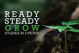 Ready, steady, grow