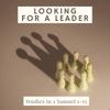 Looking for a Leader