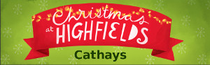 Highfields Christmas - Cathays