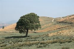 Eglwysilan