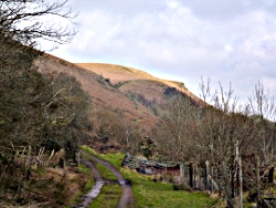 Garth Hill