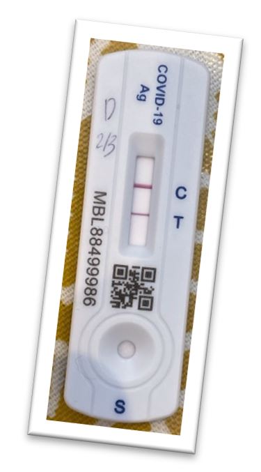 Picture of Covid-19 Lateral Flow Test