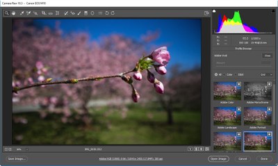 Photoshop
