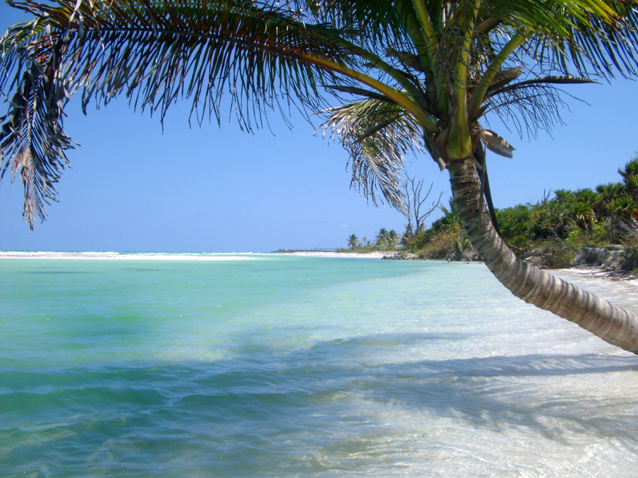 Caribbean