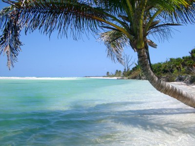 Caribbean