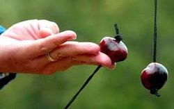 Conkers