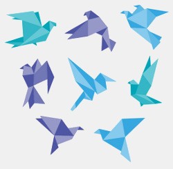 Origami Night