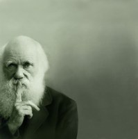Picture of Charles Darwin