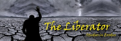 The Liberator